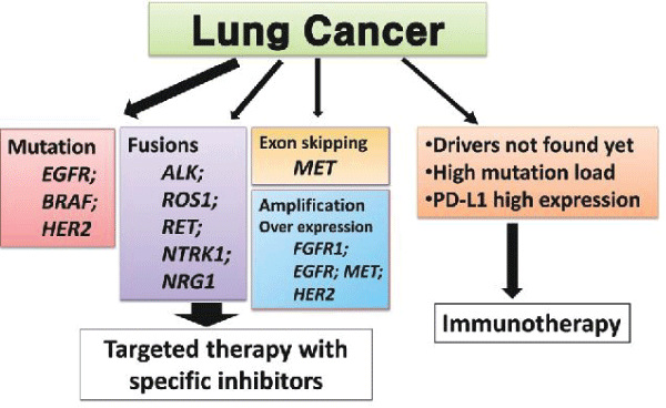 Molecular testing of lung cancer.