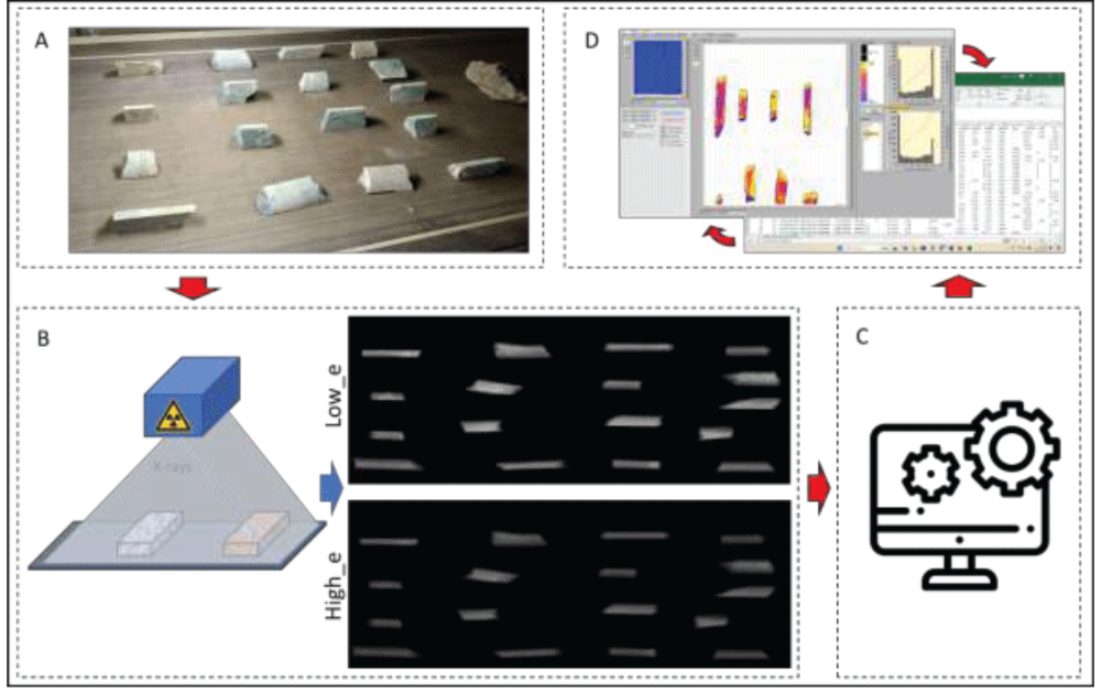 Sample testing scheme using the DE-XRT sensor, being: (A) samples on the conveyor belt, (B) generation of both low and high energy images, (C) image processing by the Comex software and (D) analysis of image data and data processing in Excel spreadsheets.