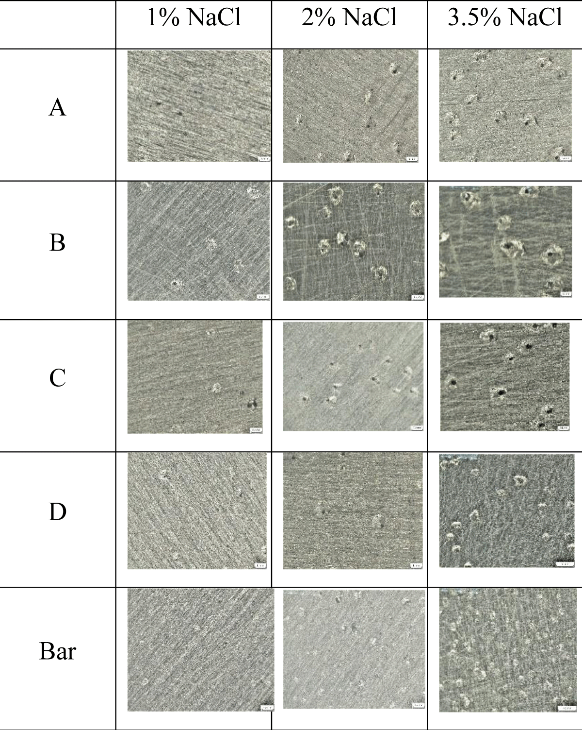 Optical macrographs of samples showing pitting morphology after testing.