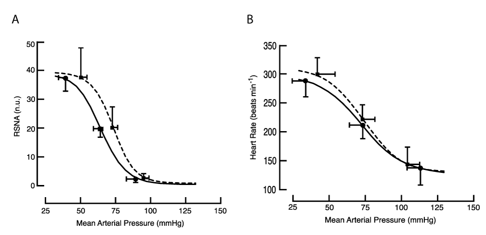 Baroreflex curves in the conscious animal. Symbols identify the location of mean values for threshold, mid-point, and saturation of the baroreflex. (A) RSNA: the mean of fitted curves obtained from 5 treated (dashed line) and 8 control animals (solid line). The baroreflex curve for RSNA was right-shifted in treated animals; at threshold p = 0.01, at mid-point p = 0.02, single-tailed t-test. (B) HR: the mean of fitted curves obtained from 7 treated and 8 control animals.