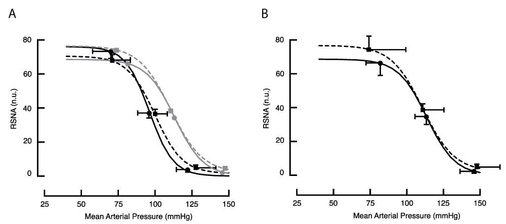 Baroreflex response curves for RSNA in the anaesthetised animal obtained with the drug method, (A) before and (B) during BCCO. Lines drawn through the means of fitted curves from 5 treated (dashed line) and 8 control animals (solid line). To illustrate the effect of BCCO on these curves, the lighter grey lines in panel A reproduce the lines drawn in panel B.