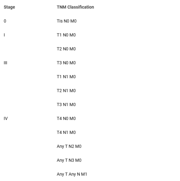 <p>TNM staging system.</p>