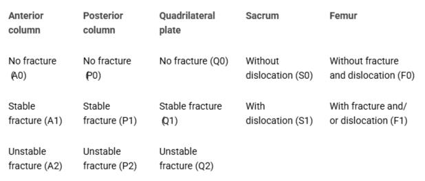 <p>Proposed new classification method including the sacrum and femur abnormalities.</p>