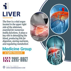 Liver